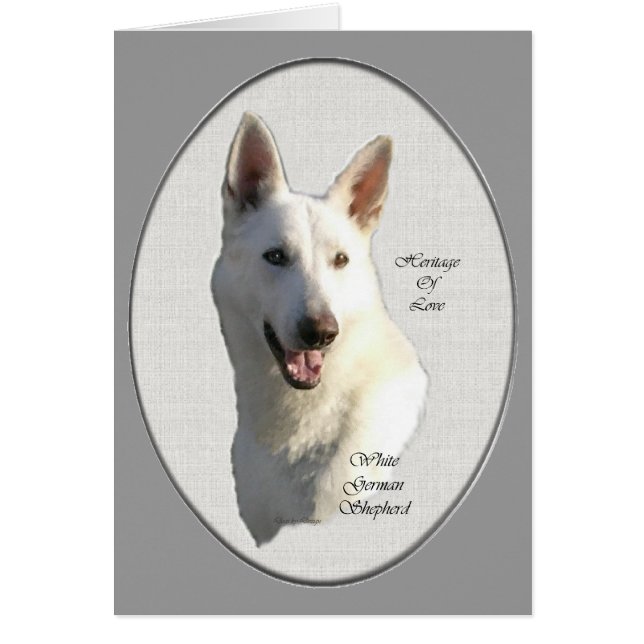 White German Shepherd Geschenke (Vorne)