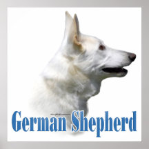 White German Shepherd Poster
