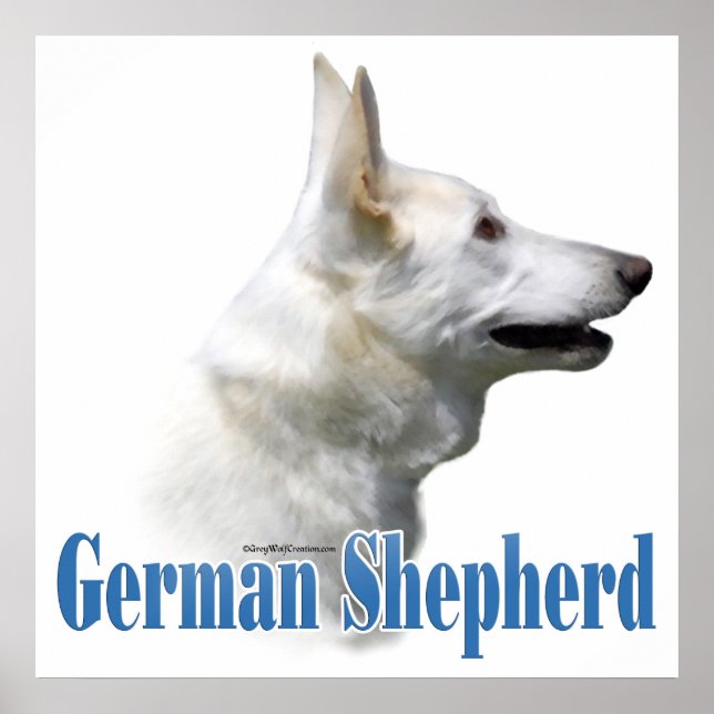 White German Shepherd Poster (Vorne)