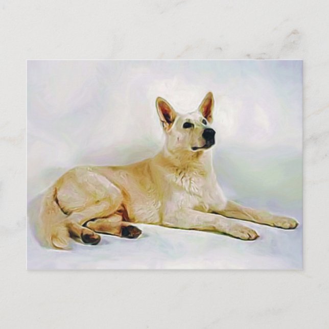 White German Shepherd Postkarte (Vorderseite)