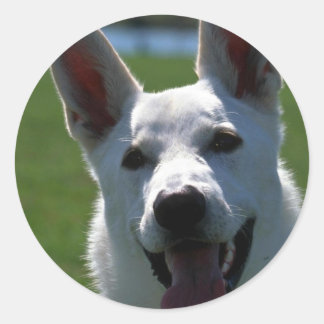 White German Shepherd Runder Aufkleber