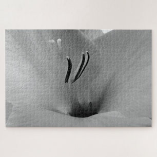 White Gladioli Puzzle