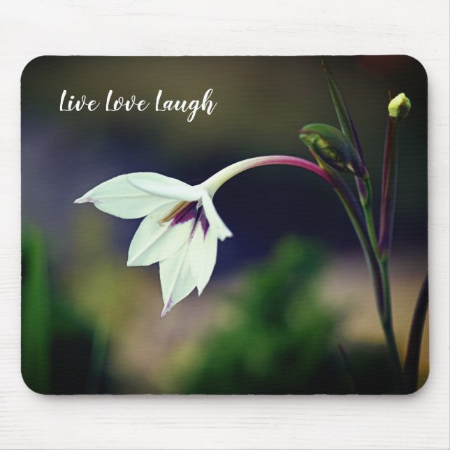 White Gladiolus Garden Blume Motivierend Magnet Mousepad (Vorne)