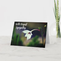 White Gladiolus Garden Blume W/ Deepest Beileid