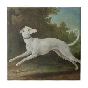 White Greyhound Dog (von Jean-Baptiste Oudry) Fliese