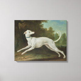 White Greyhound Dog (von Jean-Baptiste Oudry) Leinwanddruck