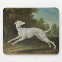 White Greyhound Dog (von Jean-Baptiste Oudry)