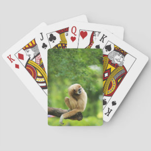 White Handed Gibbon on a Tree Spielkarten