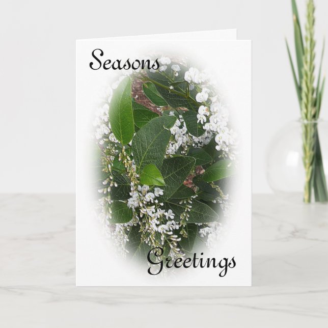 White Hardenbergia Weihnachtskarte Feiertagskarte (Vorderseite)