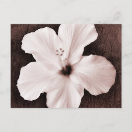 White Hawaiian Hibiskus Sepia Tropical Blume Postkarte