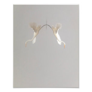 White Heron hebt Zen ab Fotodruck