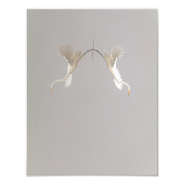 White Heron hebt Zen ab Fotodruck (Vorne)