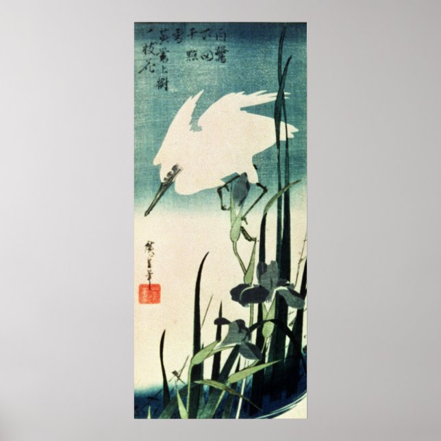 White Heron und Iris Poster (Vorne)