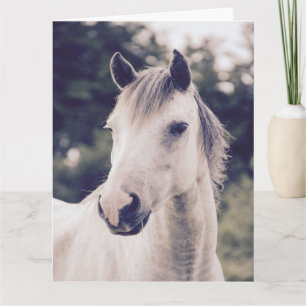 WHITE HORSE WUNDERSCHÖNE Grußkarte BIRTHDAY Karte