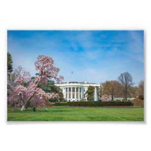 White House in Spring Fotodruck