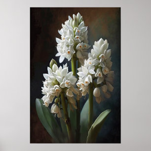 White Hyacinth Blume Art Print Poster