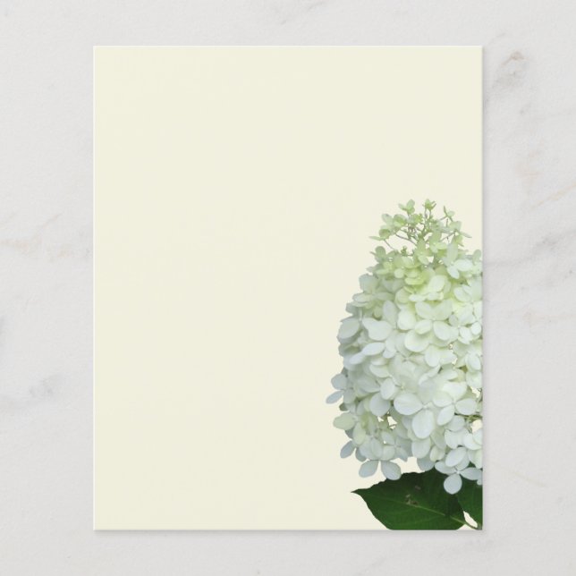 White Hydrangea Blume Leere Ecru Paper Flyer (Vorne)