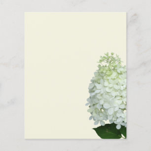 White Hydrangea Blume Leere Ecru Paper Flyer