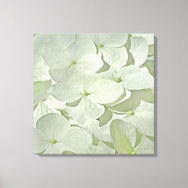 White Hydrangea Canvas Print Leinwanddruck