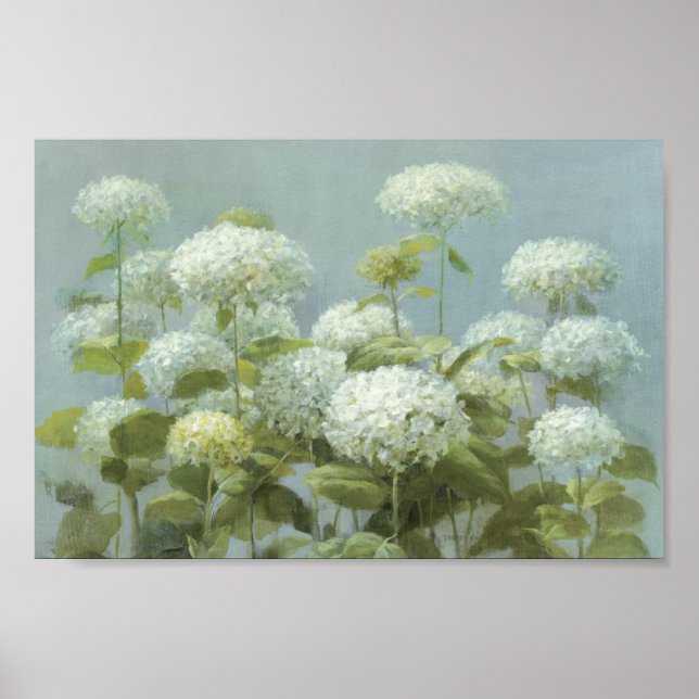 White Hydrangea Garden Poster (Vorne)