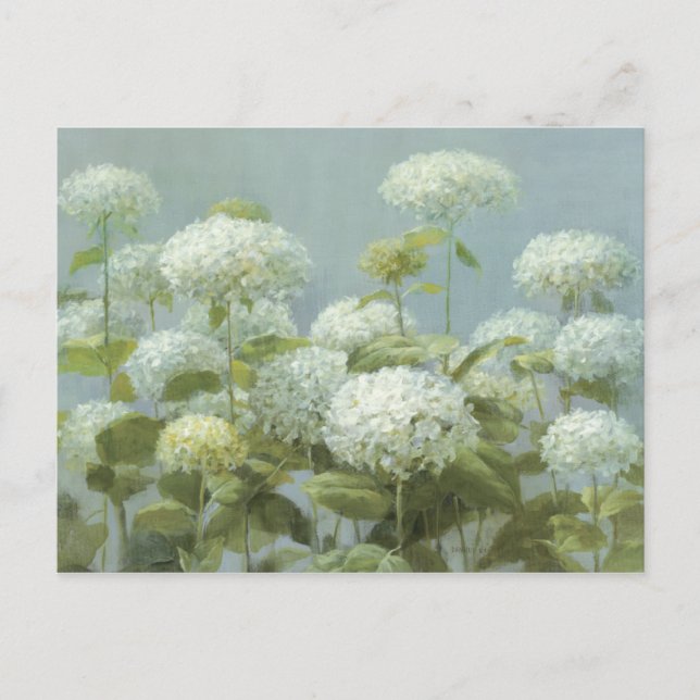 White Hydrangea Garden Postkarte (Vorderseite)