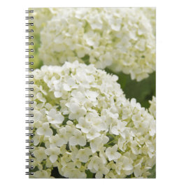 White Hydrangea Notizblock