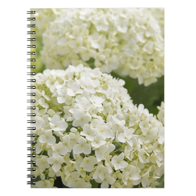 White Hydrangea Notizblock (Vorderseite)