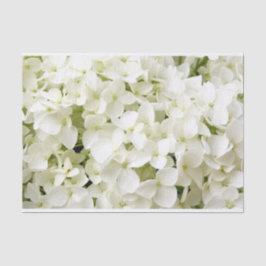 White Hydrangea Summer Party Seidenpapier