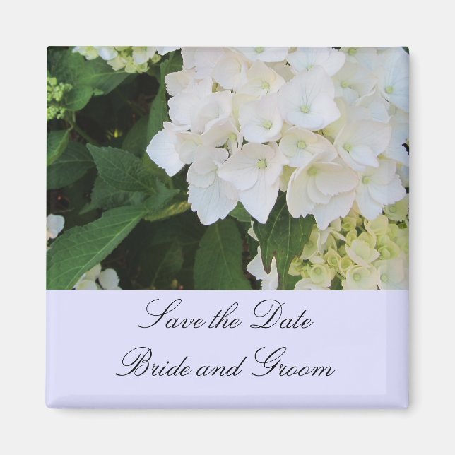 White Hydrangeas Magnet (Vorne)