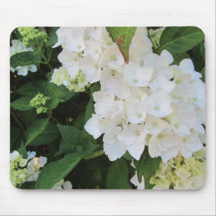 White Hydrangeas Mousepad
