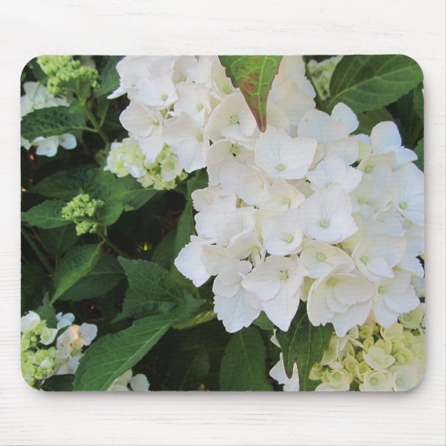 White Hydrangeas Mousepad (Vorne)
