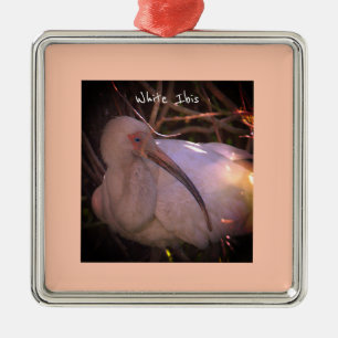 White Ibis Bird Foto Ornament Aus Metall