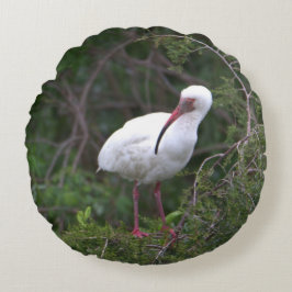 White Ibis Bird Pillow Rundes Kissen