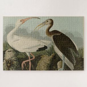 White Ibis - John James Audubons Vögel in Amerika Puzzle
