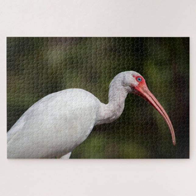 White Ibis Puzzle (Horizontal)