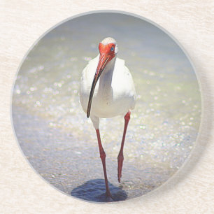 White Ibis Strut Untersetzer