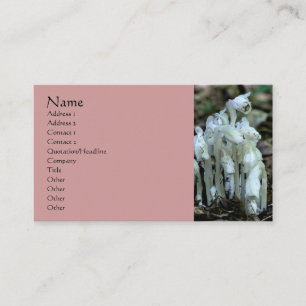 White Indian Pipe Wildblumen Business Card Visitenkarte