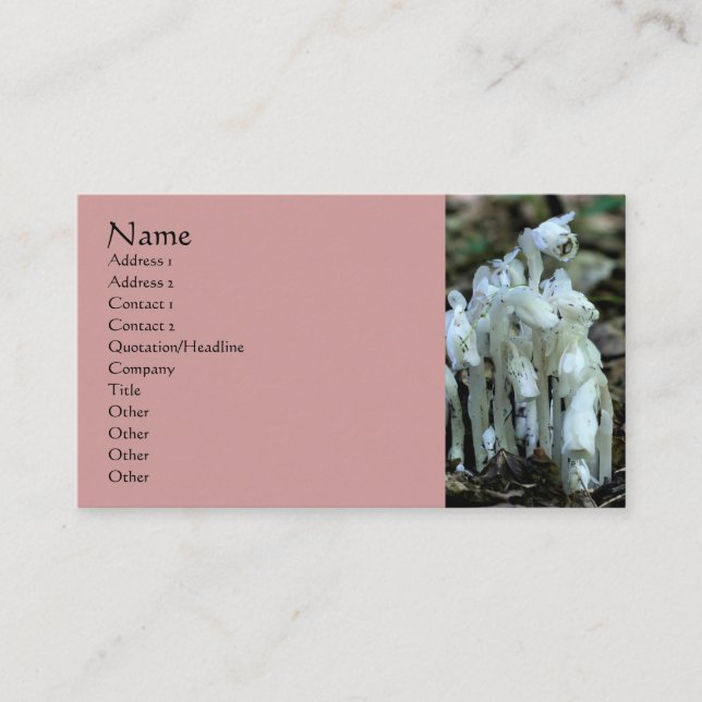 White Indian Pipe Wildblumen Business Card Visitenkarte (Vorderseite)