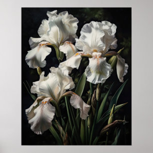 White Iris Blume Art Print Poster