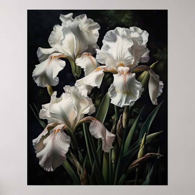 White Iris Blume Art Print Poster (Vorne)