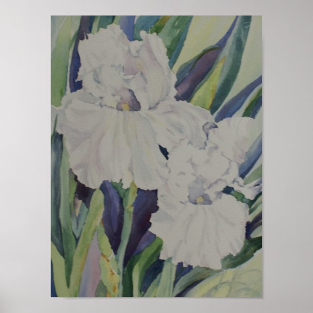 White Iris Poster (Vorne)