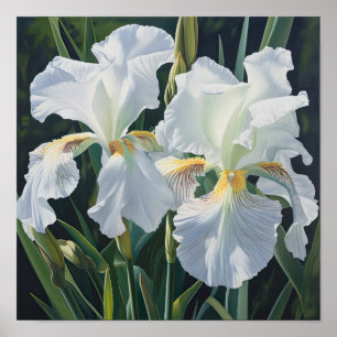 White Irische Blume Art Print Poster