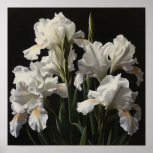 White Irische Blume Art Print Poster