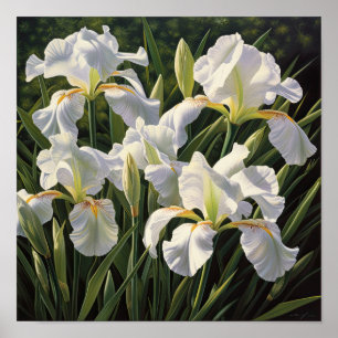 White Irische Blume Art Print Poster