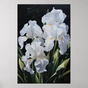 White Irische Blume Art Print Poster