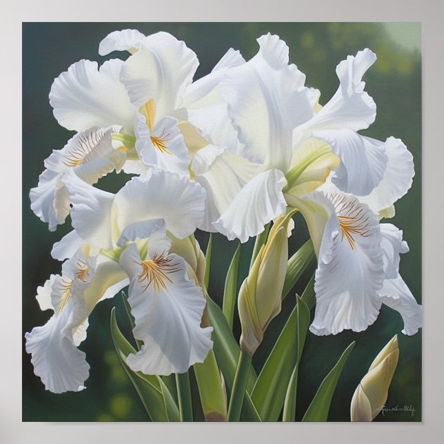 White Irische Blume Art Print Poster (Vorne)