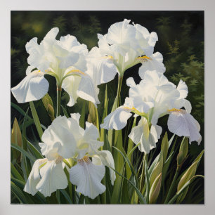 White Irische Blume Art Print Poster