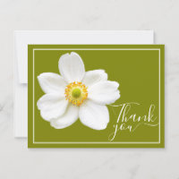 White Japanese Anemone Green Background Vielen Dan