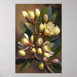 White Jojoba Blume Art Print Poster