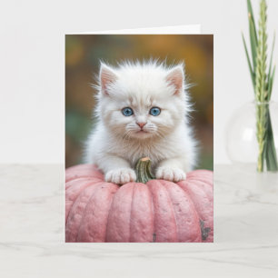 White Kitten auf rosa Halloween Pumpkin Karte